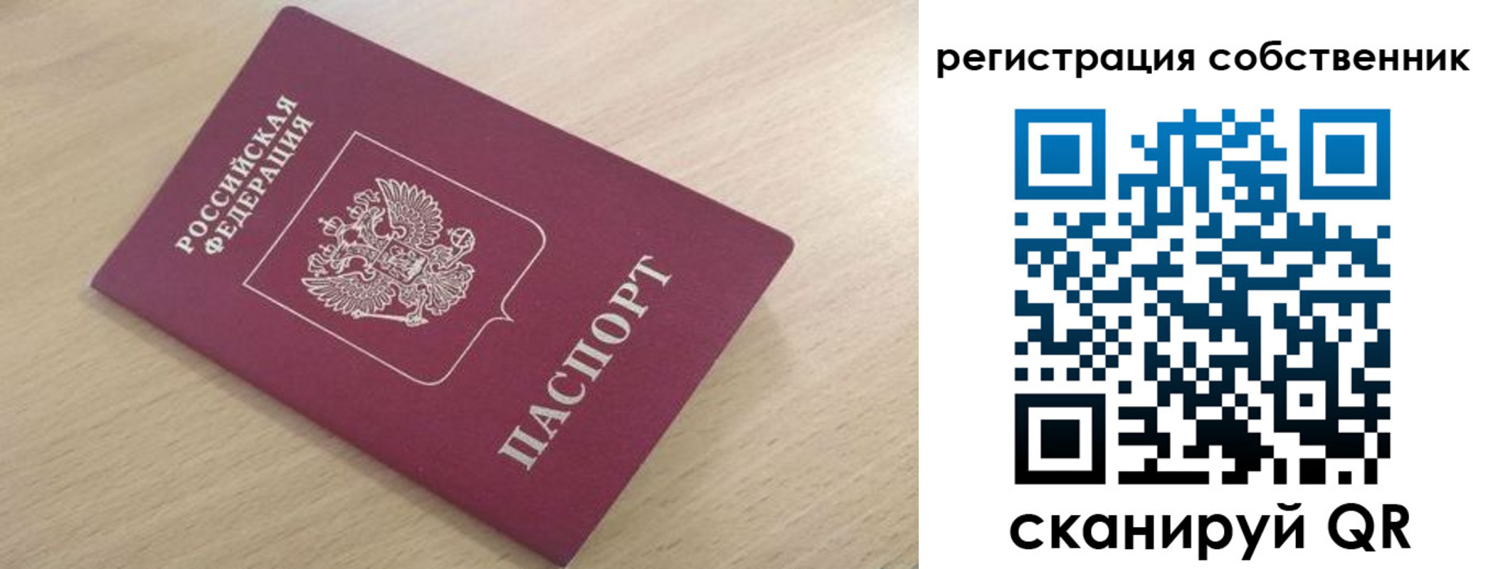 прописка паспорт в Светлогорске